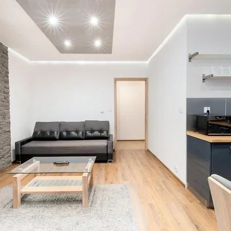 Apartament Danka Comfort *