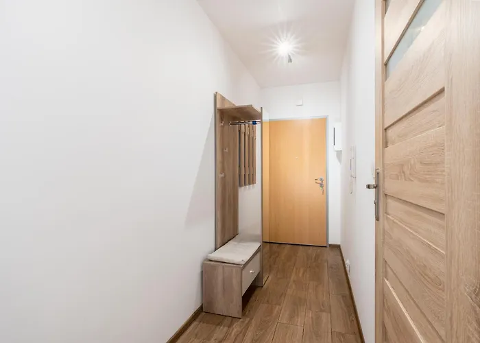 Danka Comfort Apartment *